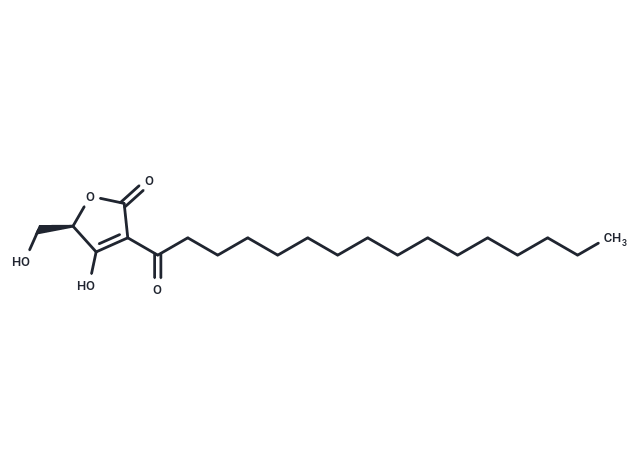 RK-682