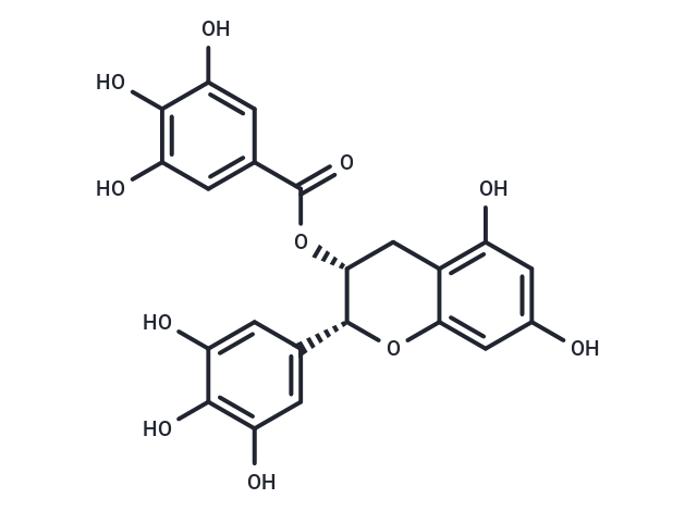 (-)-Epigallocatechin Gallate