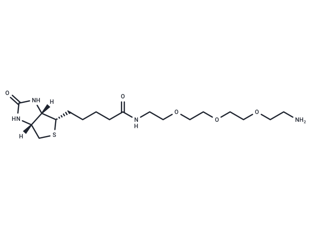 Amine-PEG3-Biotin