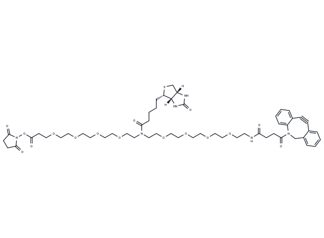 N-(DBCO-PEG4)-N-Biotin-PEG4-NHS