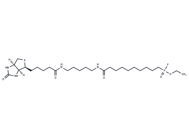 FP-Biotin