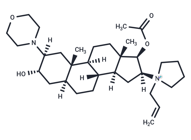 Rocuronium