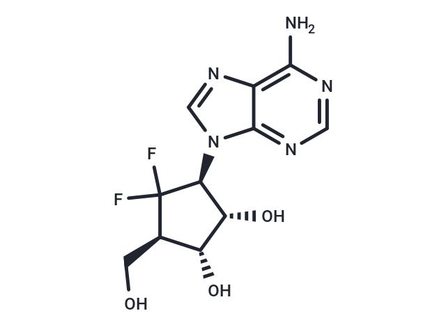 6-fluorinated-aristeromycin2c