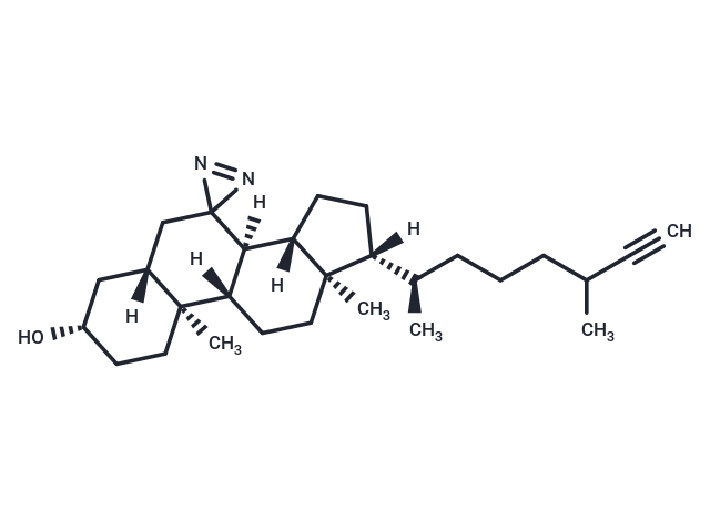 LKM38