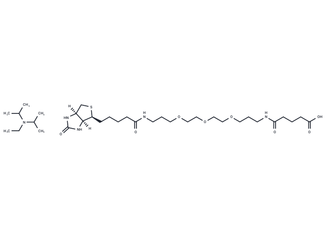 Biotinyl-NH-PEG3-C3-amido-C3-COOH (DIPEA)