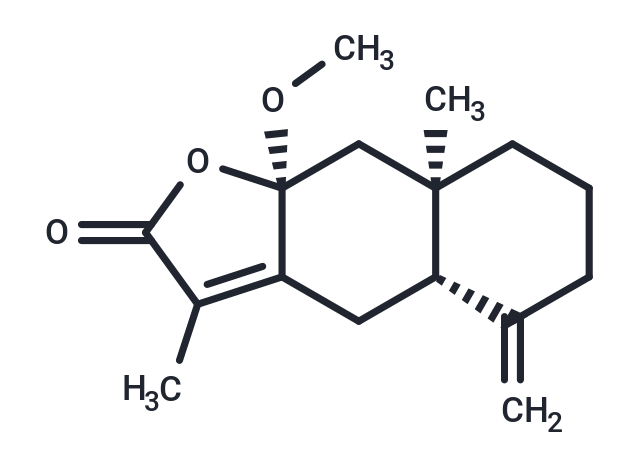 8beta-Methoxyatractylenolide I