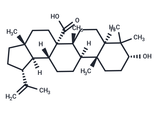 Bacosine