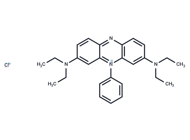 Heliotrope B