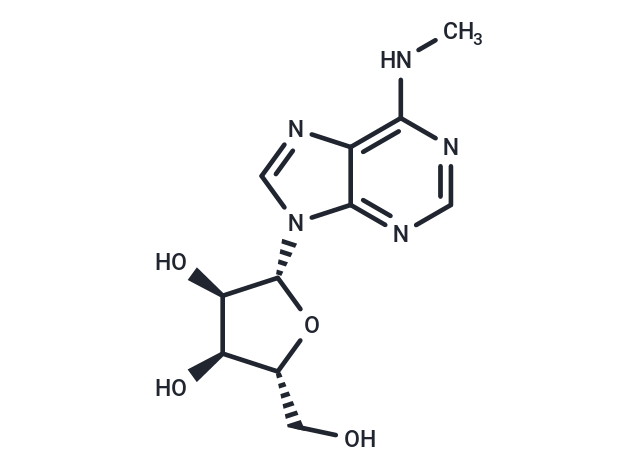 N6-methyladenosine