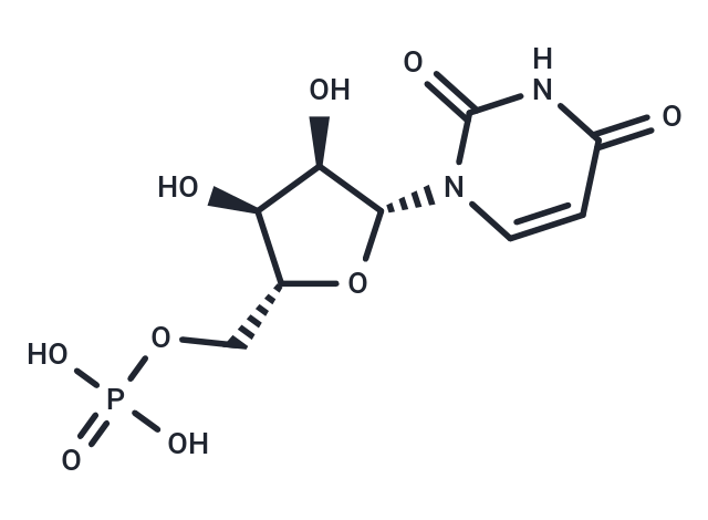 Uridine 5'-monophosphate