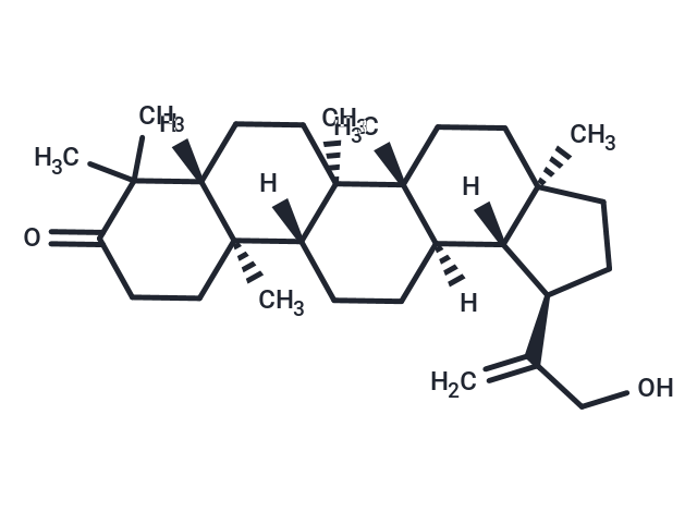 30-Hydroxylup-20(29)-en-3-one