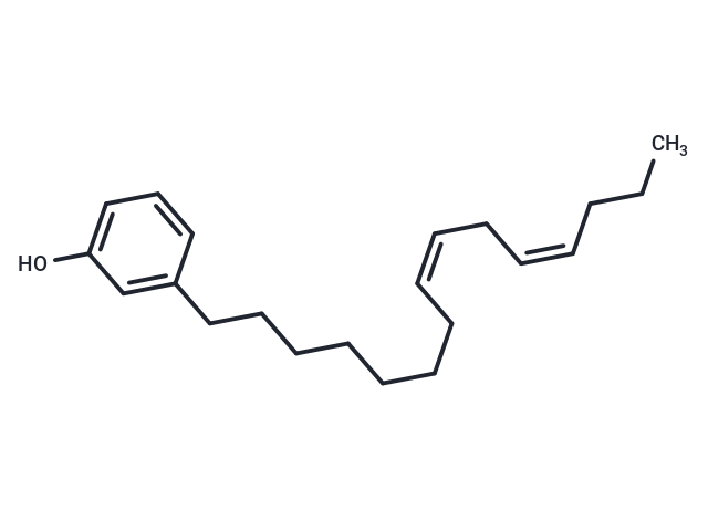 Cardanol diene