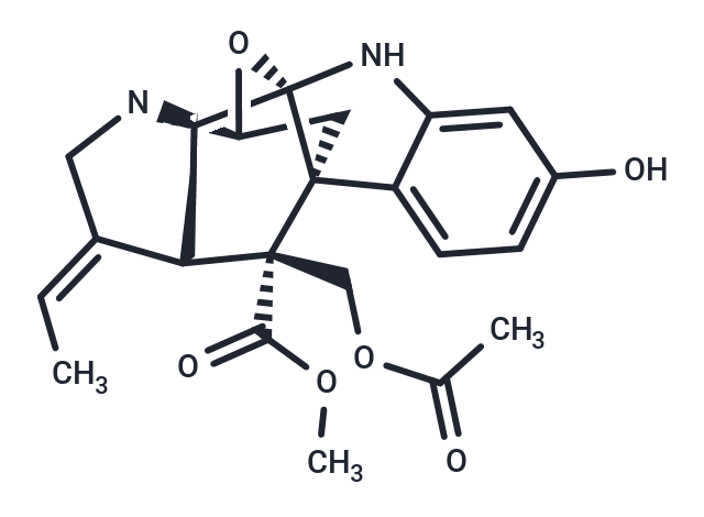 Rauvoyunine B