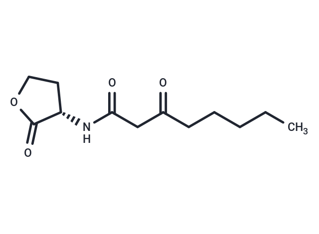 N-3-Oxo-octanoyl-L-homoserine lactone