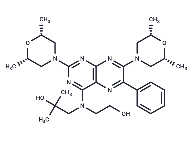 Bibw 22