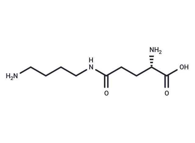 Glutamylputrescine