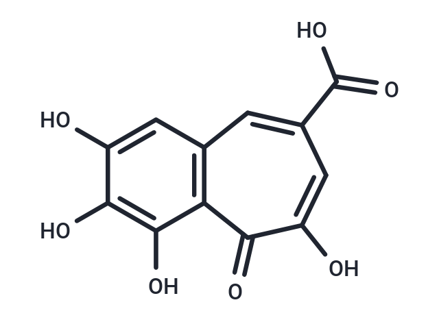 Purpurogallin carboxylic acid