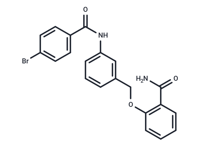 PARP-1-IN-3