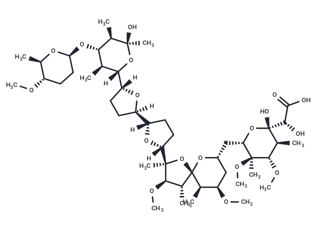 K 41