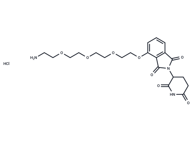 Thalidomide-PEG4-NH2 hydrochloride