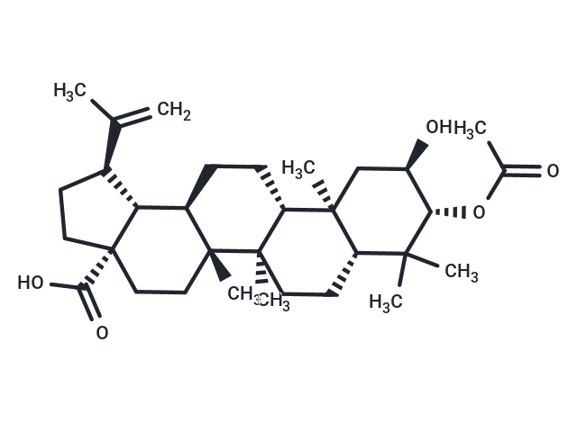 2alpha-hydroxy-3beta-acetyloxy-betulic acid