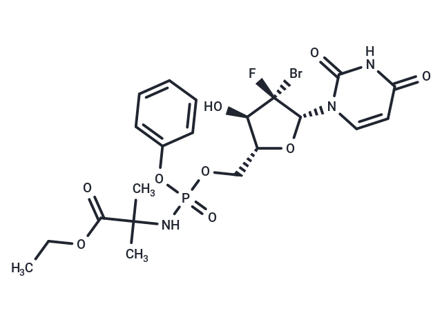 HCV-IN-40