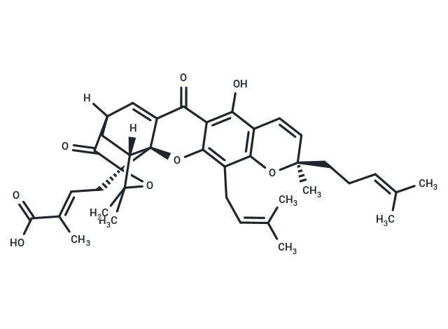 Isogambogic acid