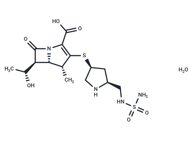 Doripenem monohydrate