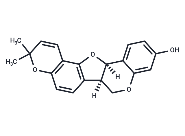 Phaseolin