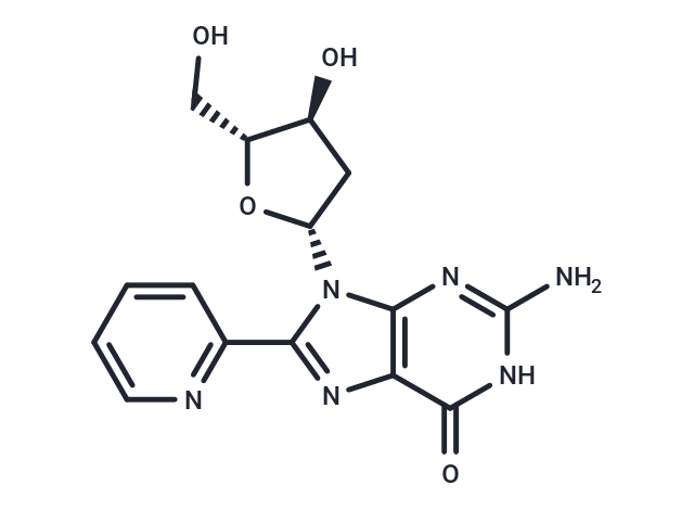 2PyG