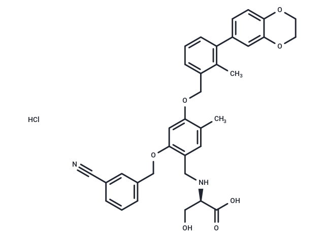 BMS-1001 hydrochloride