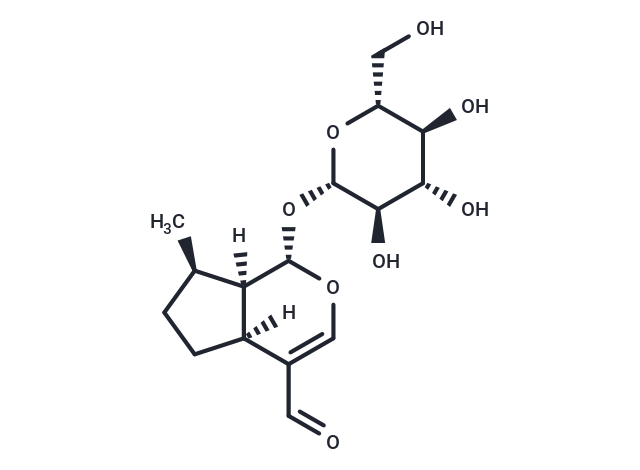 Boschnaloside