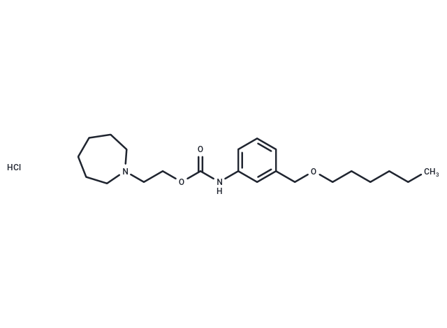 Carbanilic acid, m-((hexyloxy)methyl)-, 2-(hexahydro-1H-azepin-1-yl)ethyl ester, hydrochloride