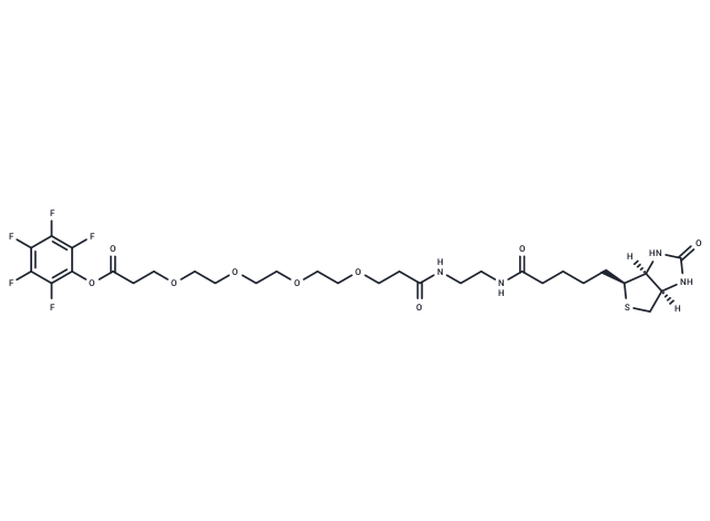 Biotin-amido-PEG4-PFP ester