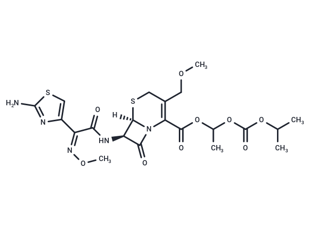 Cefpodoxime proxetil