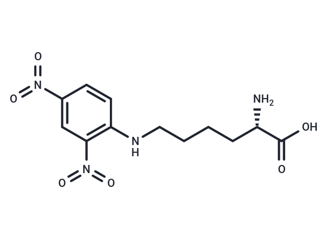 epsilon-Dinitrophenyllysine