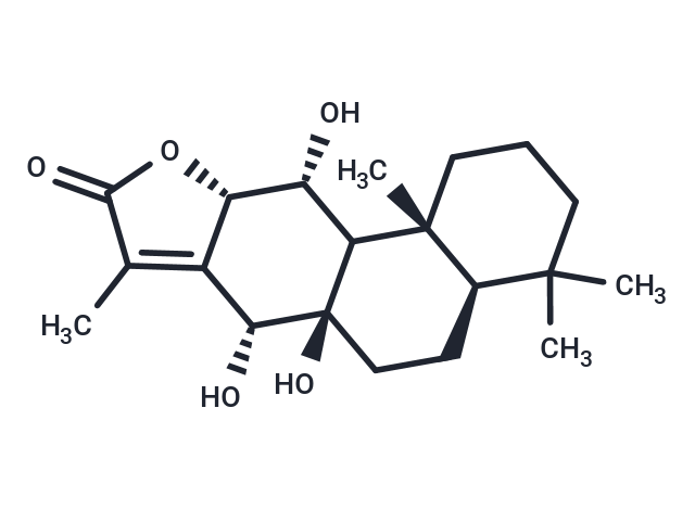 Yuexiandajisu E