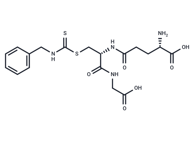 BITC-SG