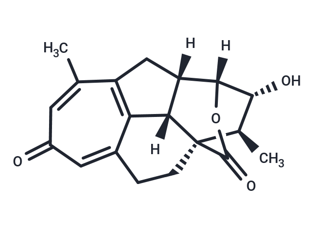 Hainanolidol