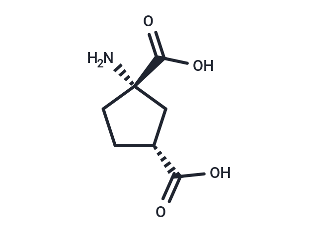 (1S,3R)-ACPD