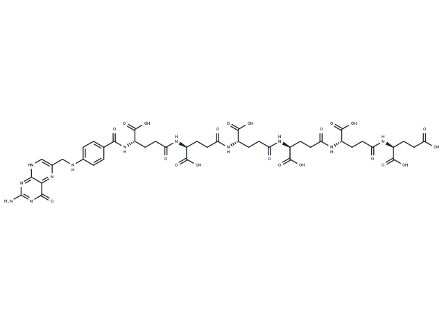 Hexaglutamate folate