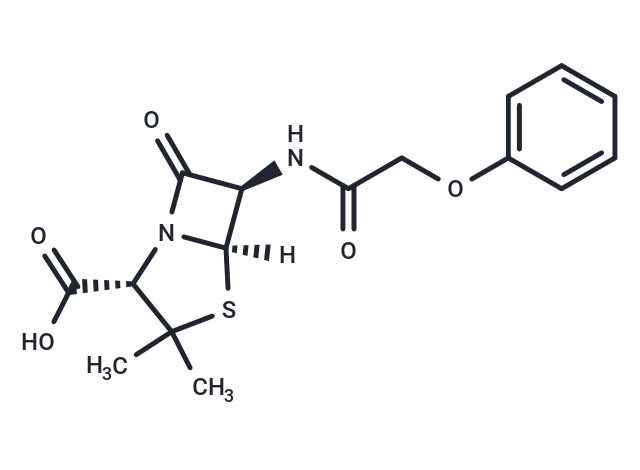 Penicillin V