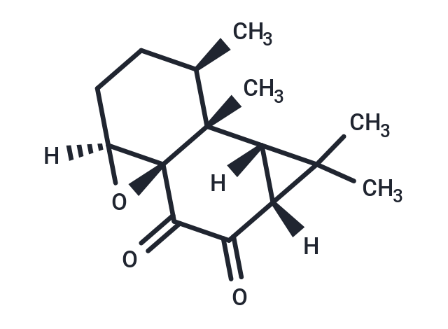 Kanshone C