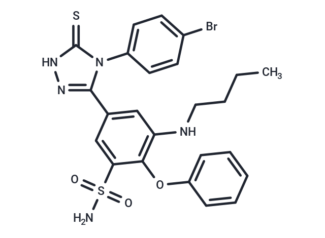 COX-2-IN-24