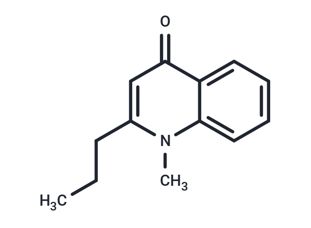 Leptomerine