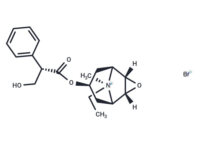 Oxitropium Bromide