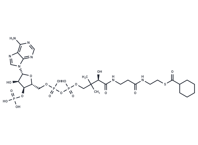 Cyclohexanoyl Coenzyme A