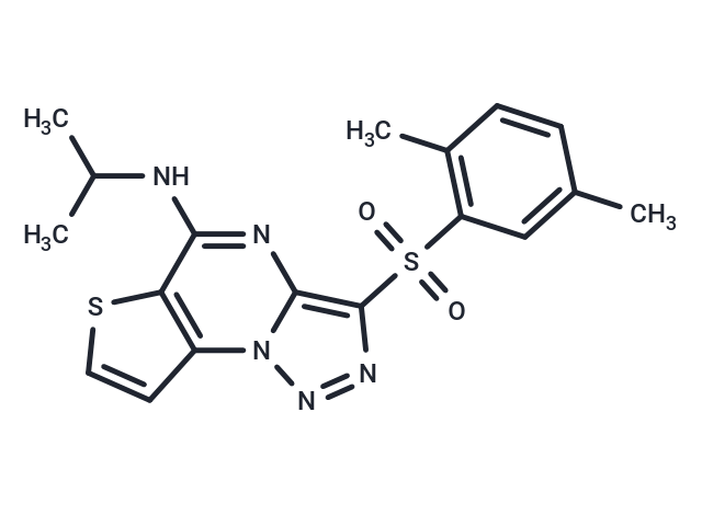 UTA1inh-D1