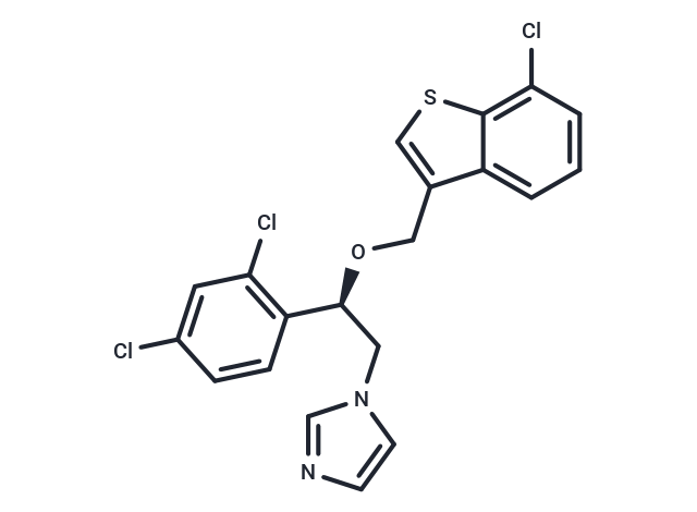 Arasertaconazole