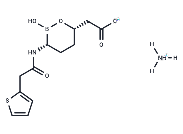 Vaborbactam ammonium salt